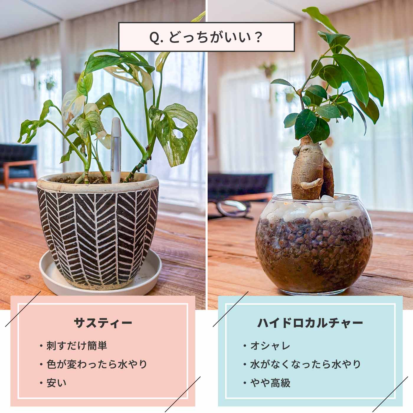 サスティー 水やりチェッカー S M L 白 緑 黒