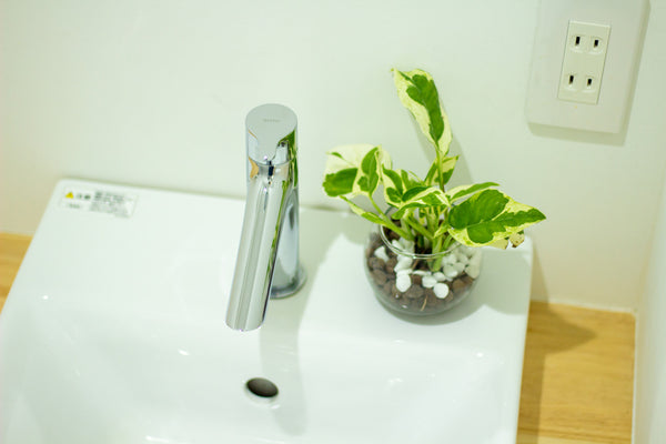 ポトスをトイレに置いて悪い気を浄化しよう
