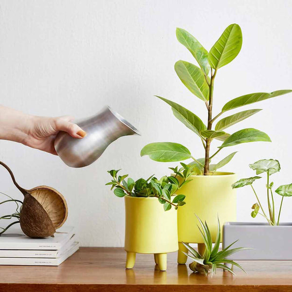 1_1553132a-f8fe-450c-acec-