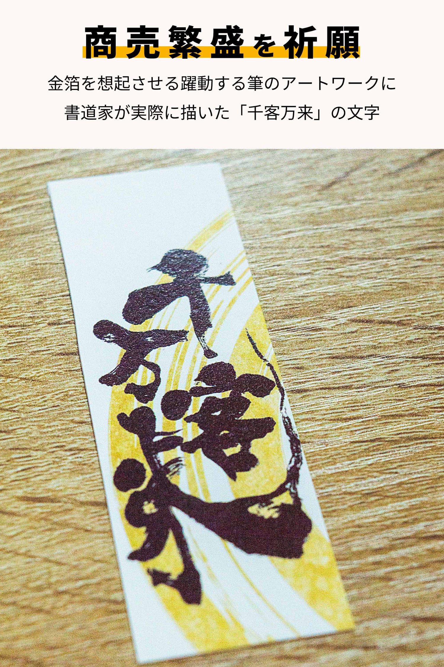 パキラ ハイドロカルチャー ギフト梱包「千客万来」
