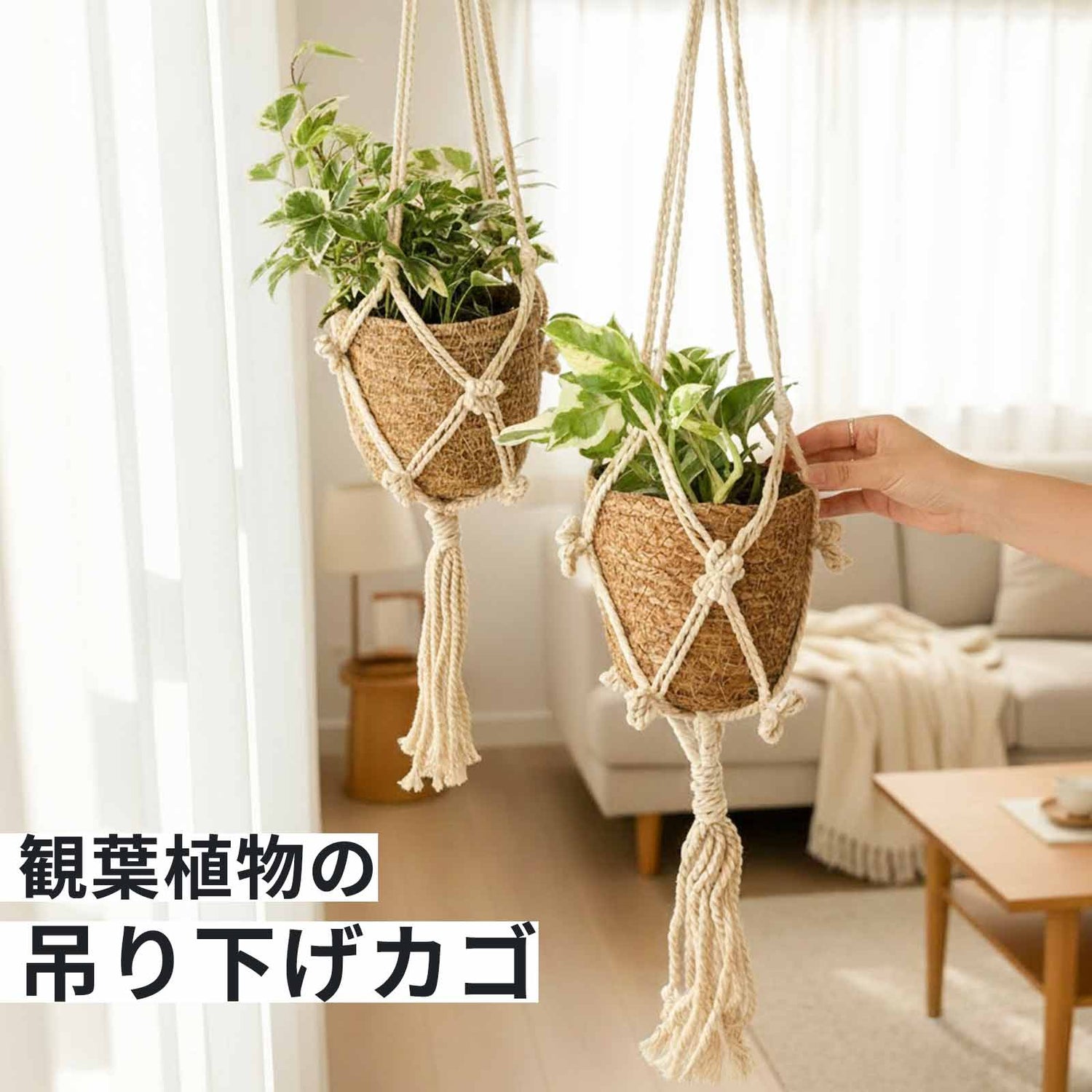 ハンギングプランツ 吊り下げ 観葉植物 カゴ バスケット 鉢カバー 北欧 インテリア ナチュラル 天然素材 シーグラス 植物用 吊るす 雑貨 園芸用品 模様替え