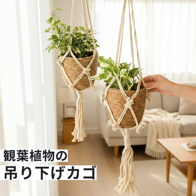 ハンギングプランツ 吊り下げ 観葉植物 カゴ バスケット 鉢カバー 北欧 インテリア ナチュラル 天然素材 シーグラス 植物用 吊るす 雑貨 園芸用品 模様替え