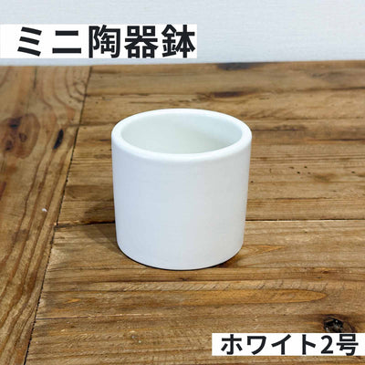 陶器鉢 2号 白