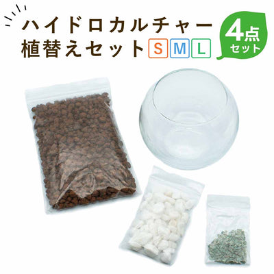 ハイドロカルチャーかんたんセット ガラス 鉢 植え替え