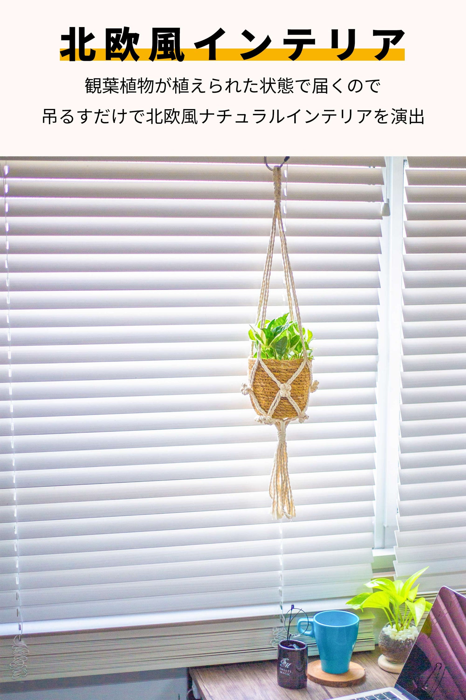 ポトスエンジョイ ハンギング 吊り下げ
