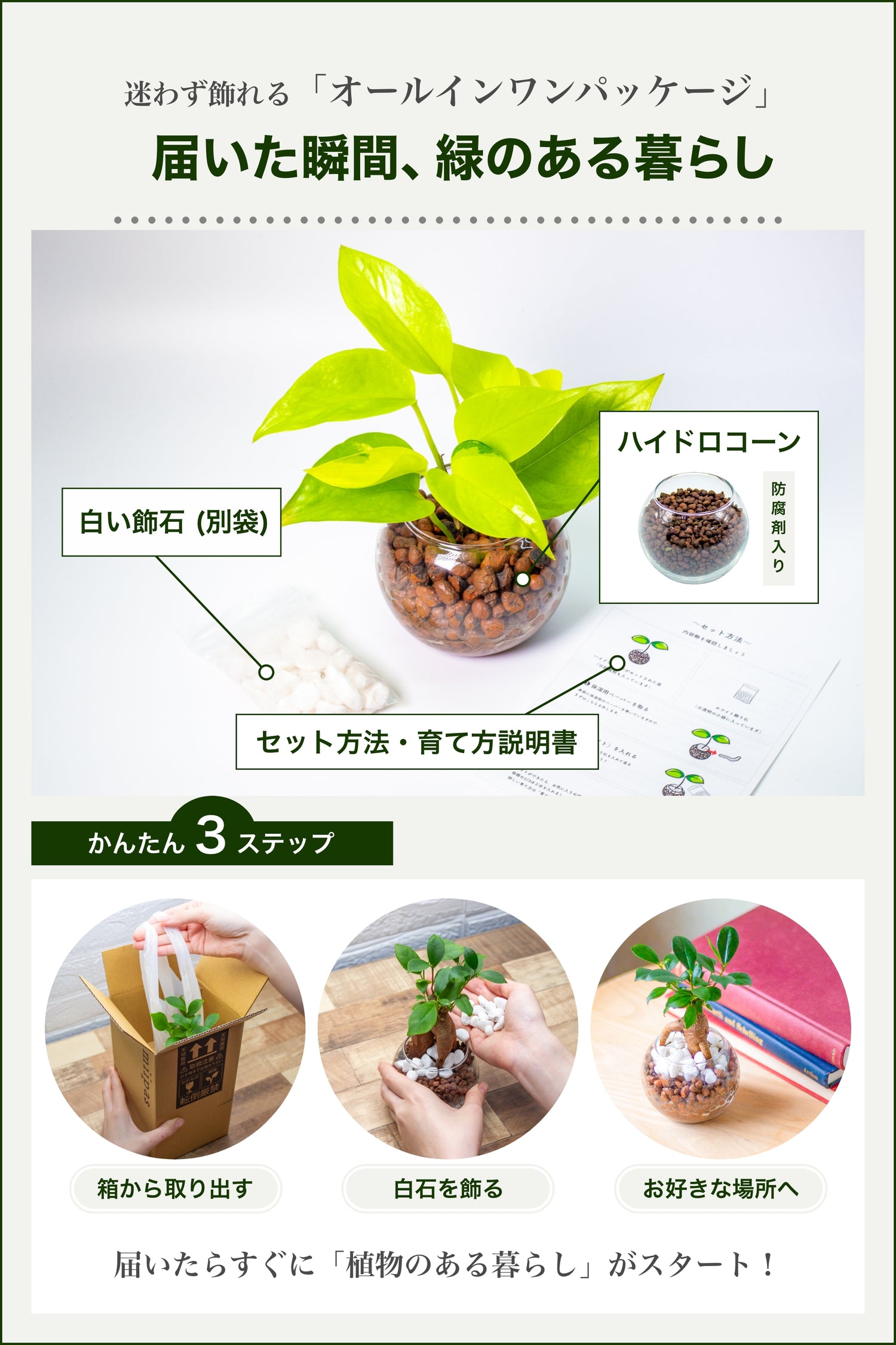 ＜数量限定復活＞ポトスライム ハイドロカルチャー