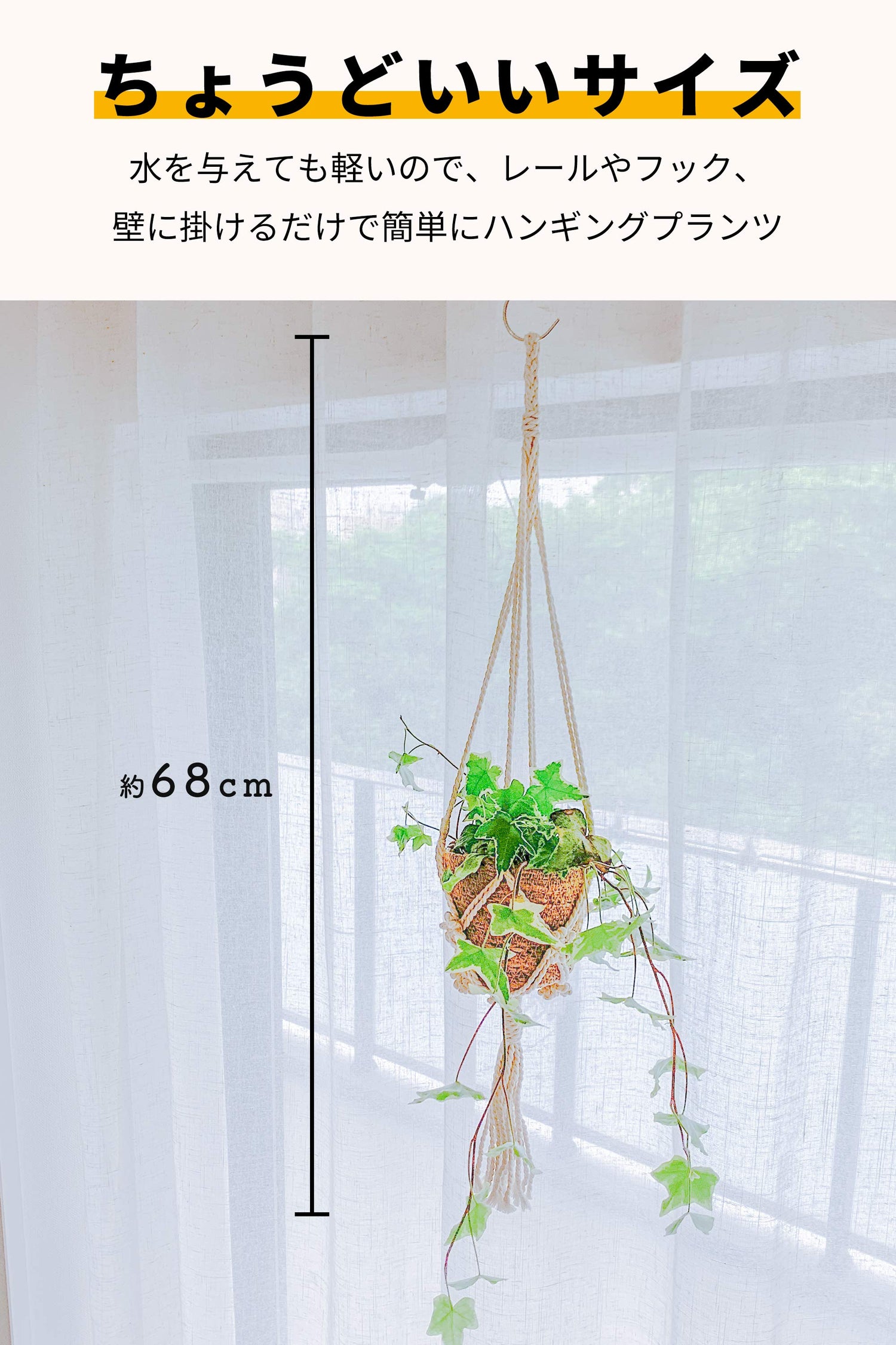 アイビー ハンギングプランツ ハンギング 吊り下げ