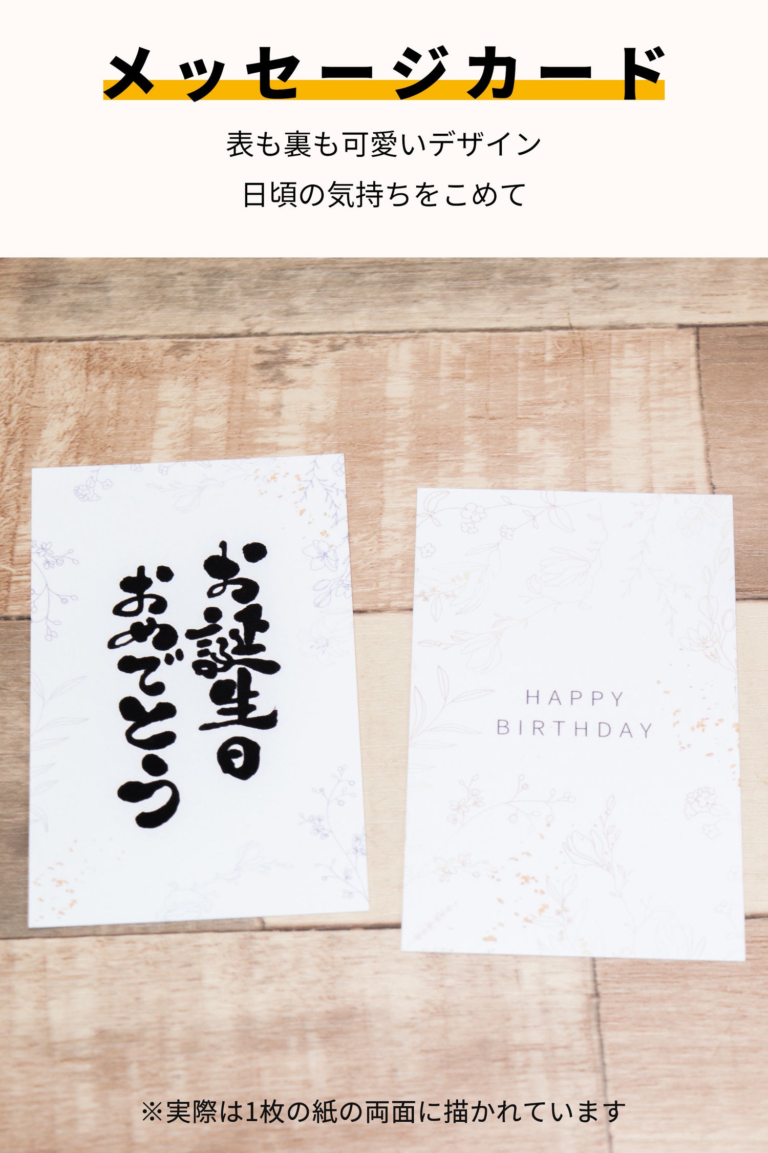 パキラ ハイドロカルチャー ギフト梱包「お誕生日おめでとう」