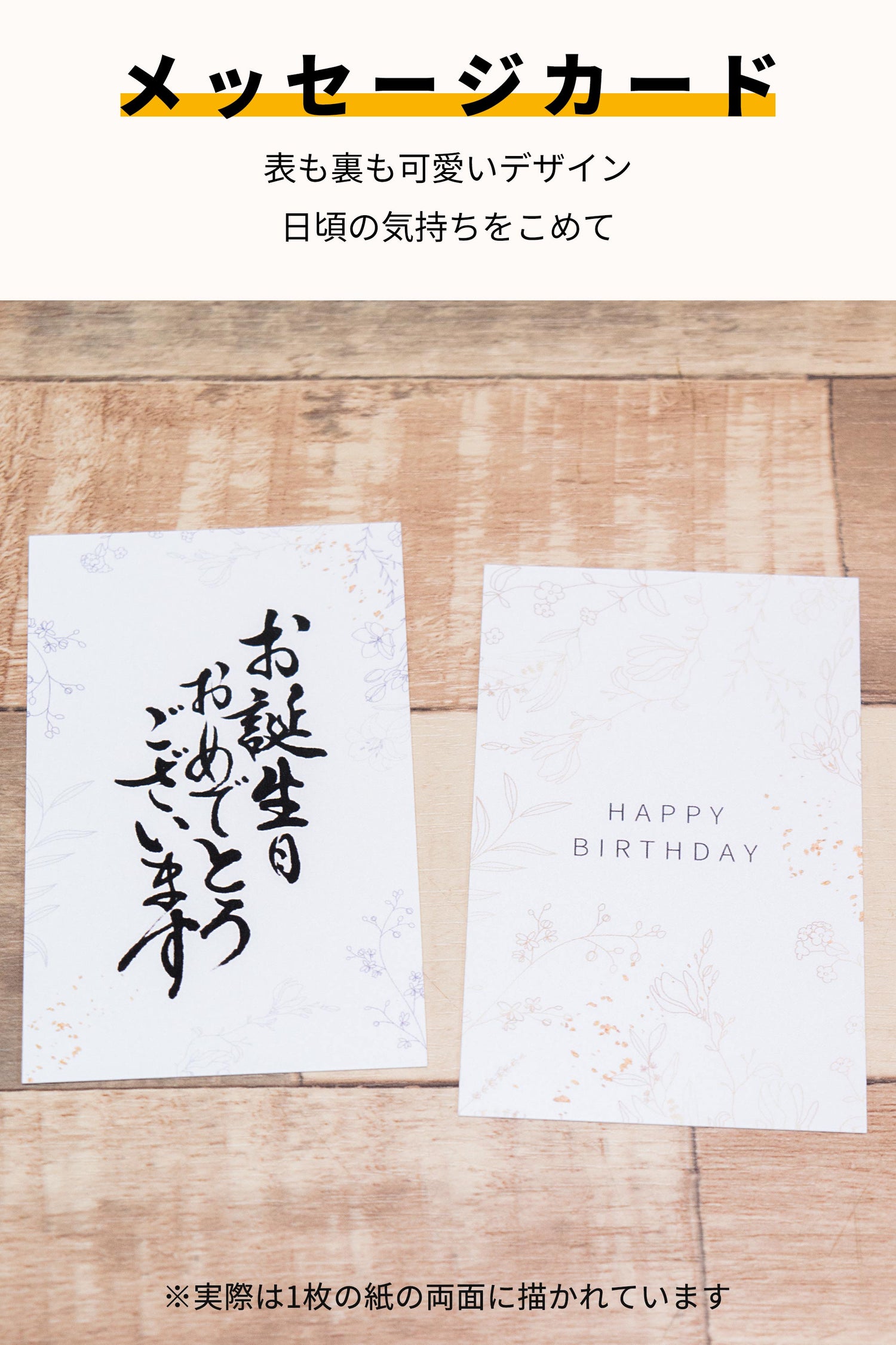 パキラ ハイドロカルチャー ギフト梱包「お誕生日おめでとうございます」