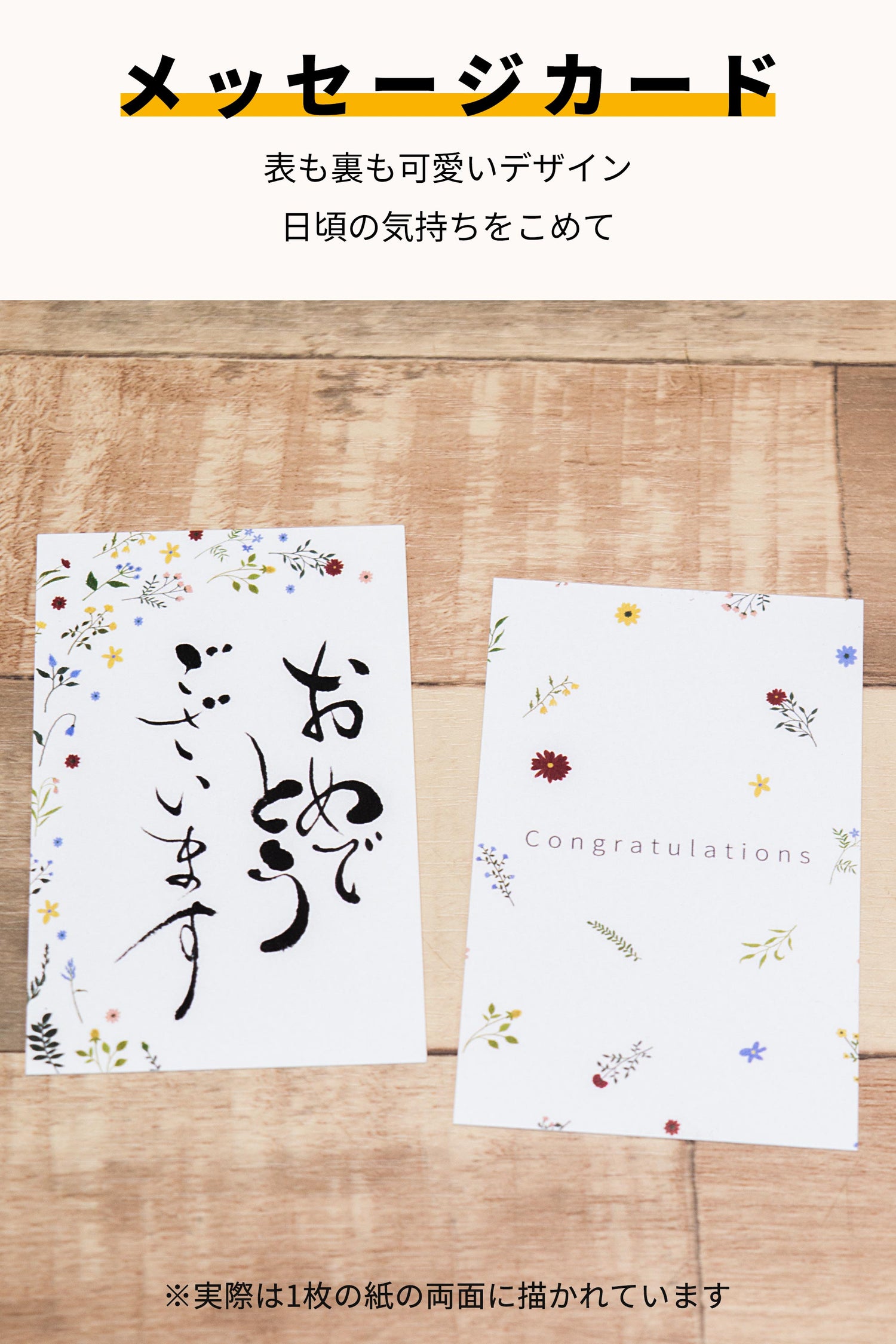 パキラ ハイドロカルチャー ギフト梱包「おめでとうございます」