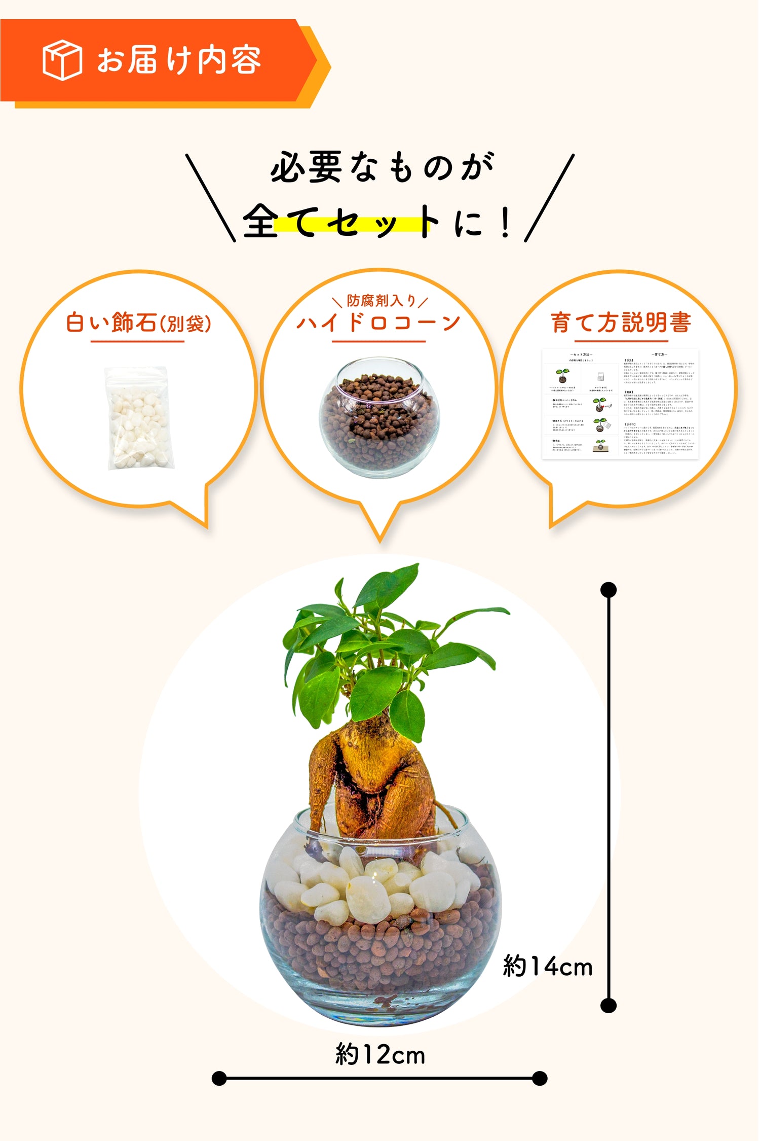 ハイドロカルチャー 3種セット
