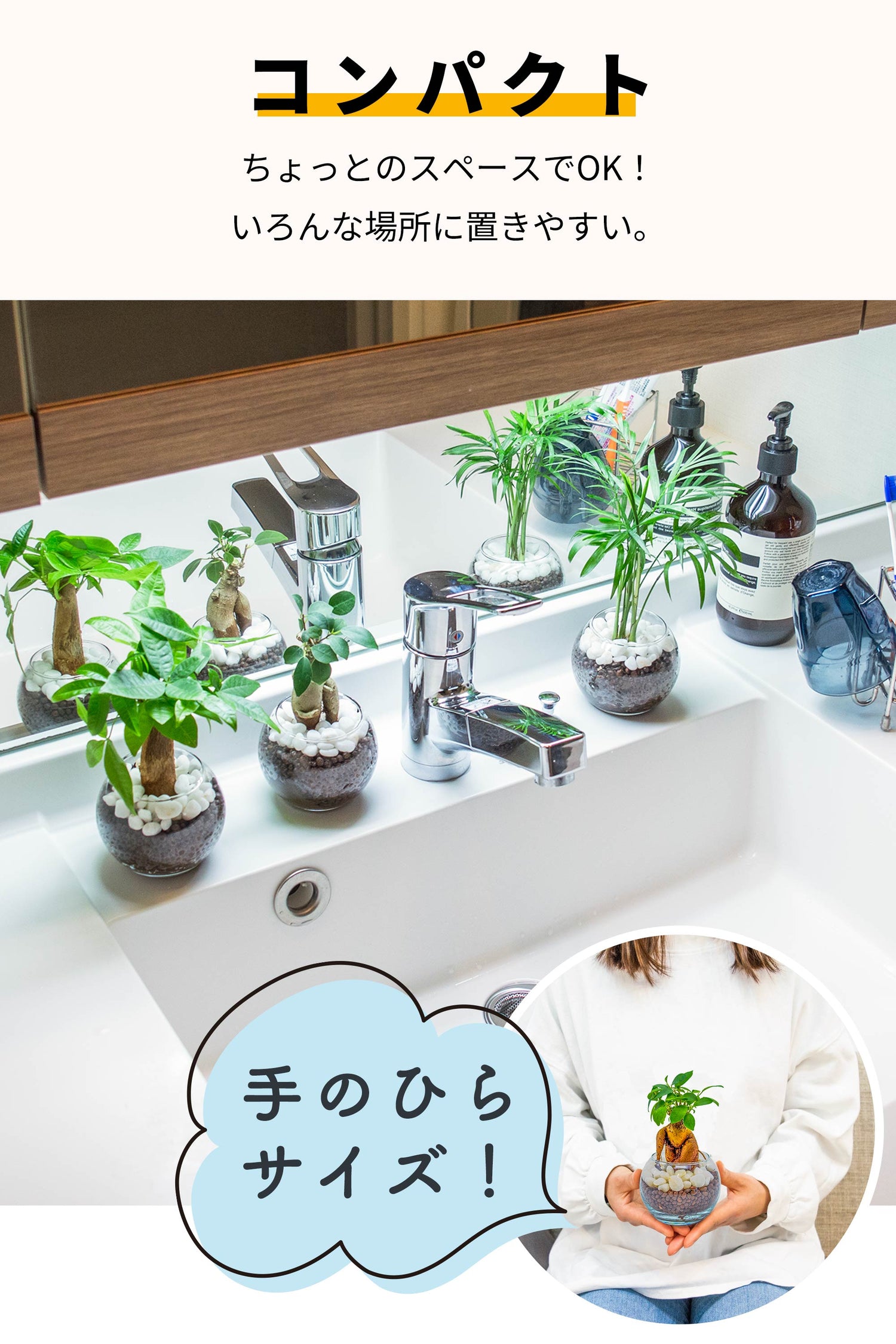 ハイドロカルチャー 3種セット