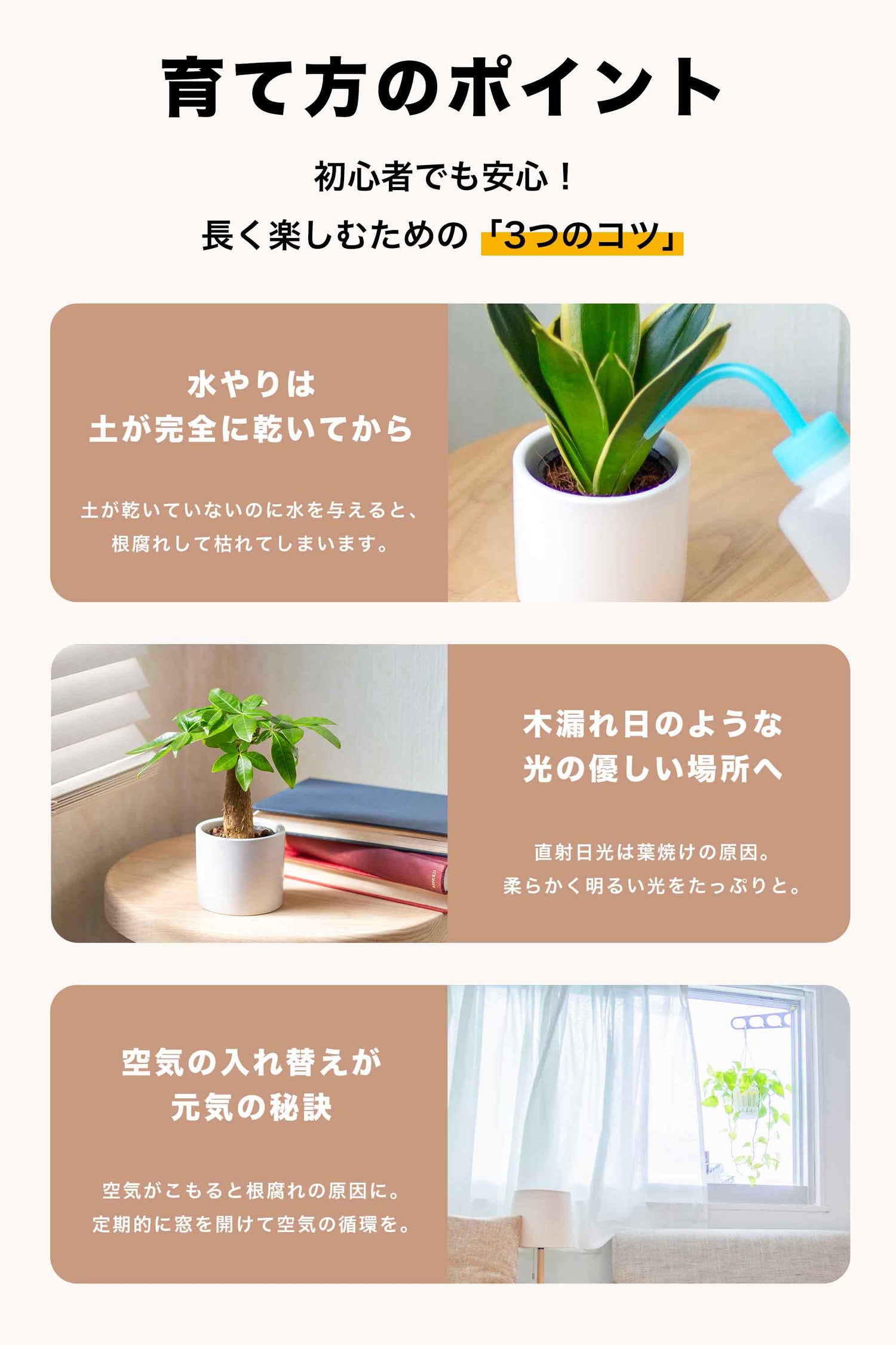 カポック 陶器鉢 2号ポット