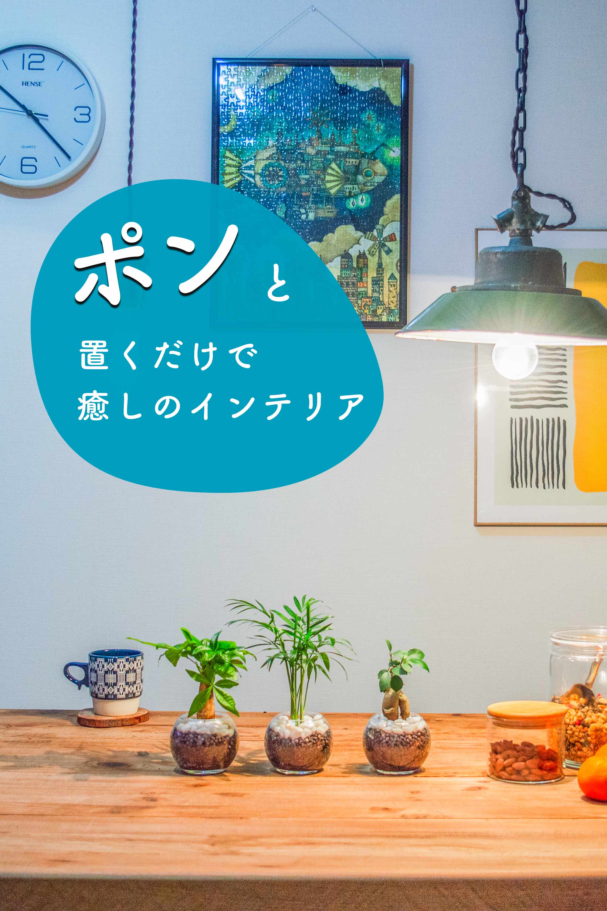 在庫残りわずか！希少種の数量限定】斑入りパキラ ミルキーウェイ