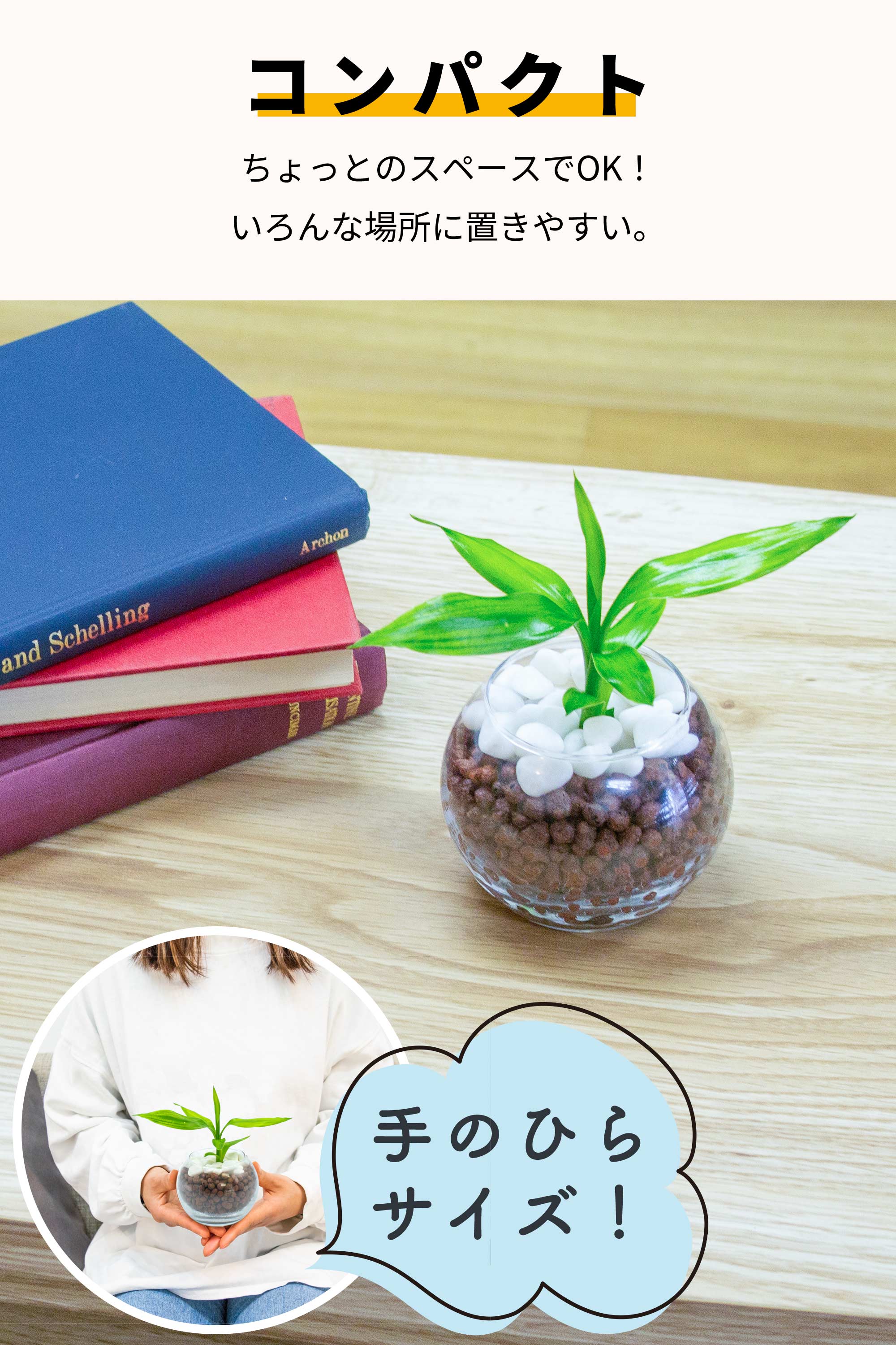 観葉植物 – Page 2 – miipas