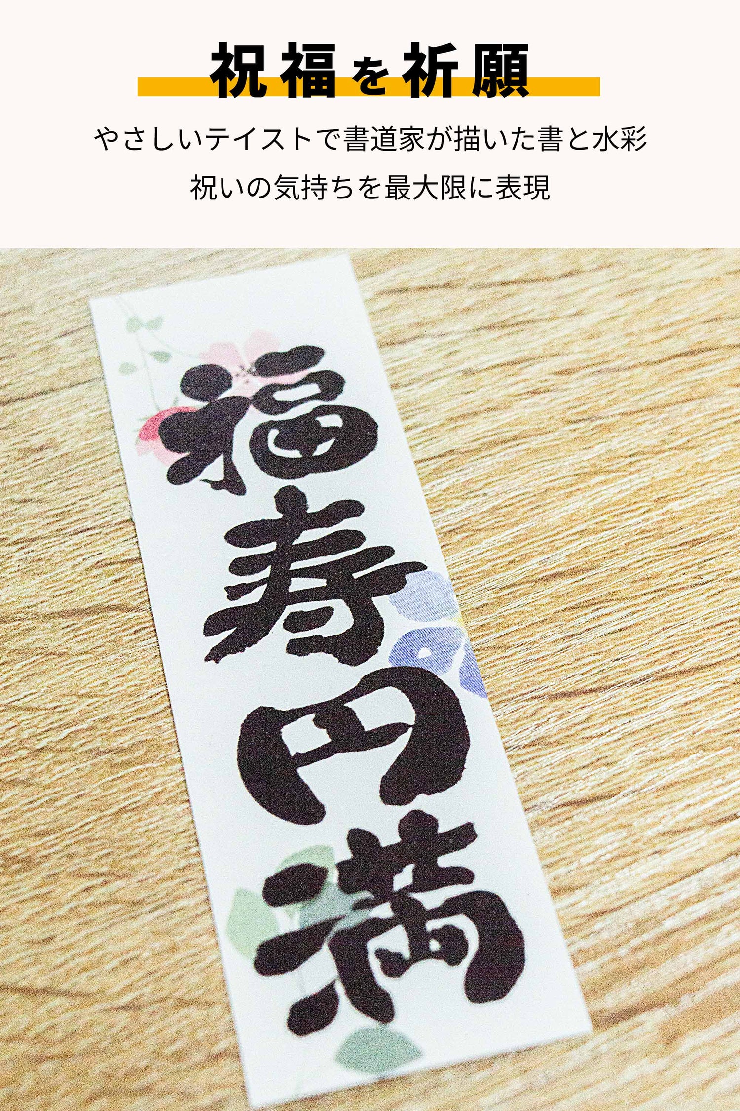 パキラ ハイドロカルチャー ギフト梱包「福寿円満」