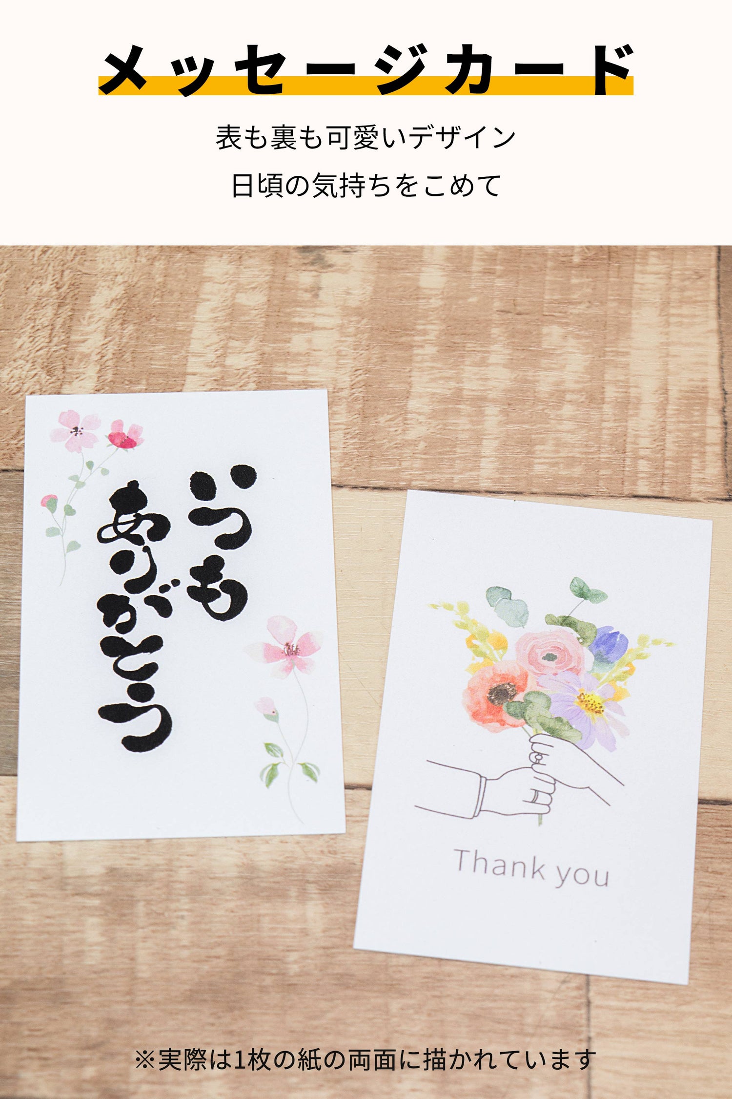 パキラ ハイドロカルチャー ギフト梱包「いつもありがとう」