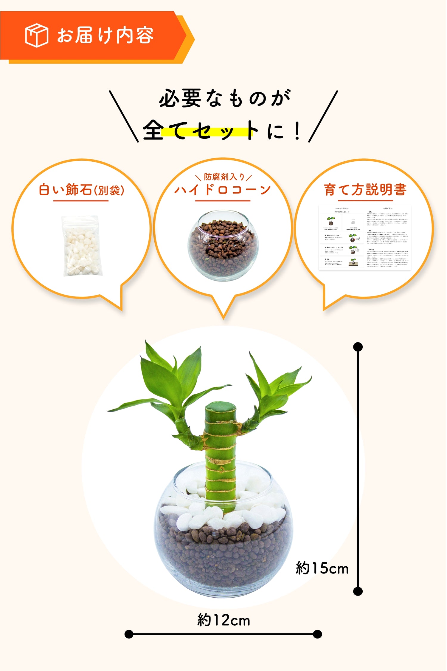 ミリオンバンブー キングバンブー ハイドロカルチャー